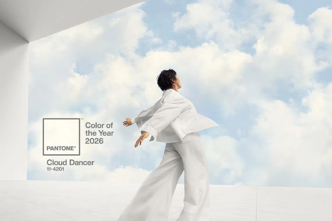 Pantone said Cloud Dancer, also known as Pantone 11-4201, has an “aerated presence” which acted as “a whisper of calm and peace in a noisy world".