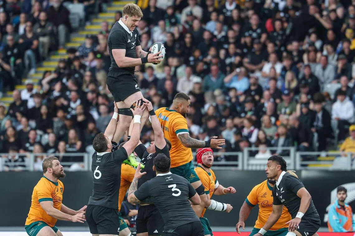 New Zealand's Fabian Holland takes the ball in the lineout in the Rugby Championship match against Australia at Eden Park in Auckland on Sept 27, 2025.