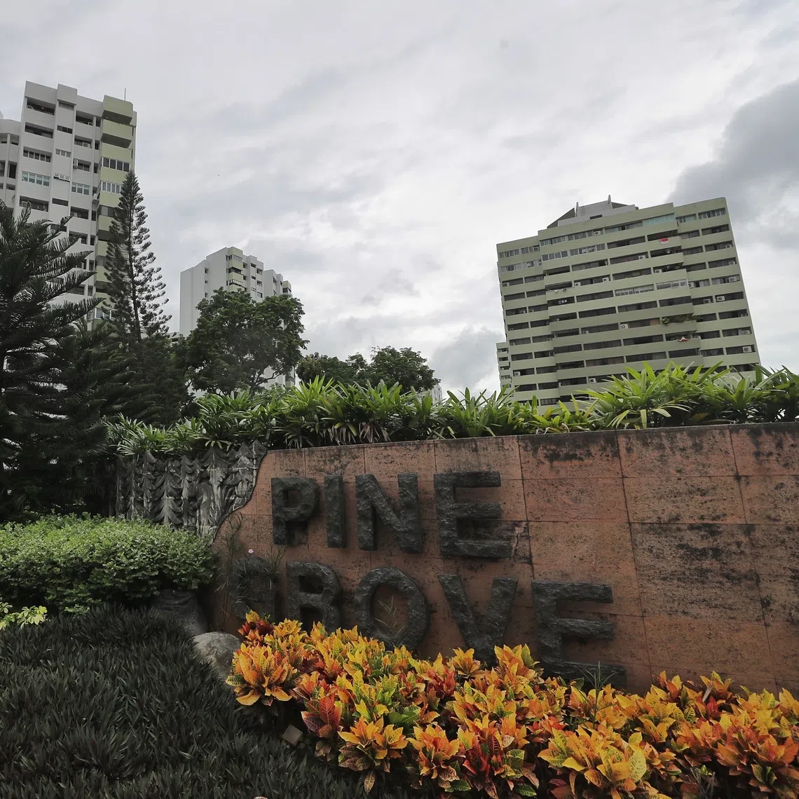 The Pine Grove condominium along Ulu Pandan Road is in the final leg of its fifth collective sale attempt at a reserve price of $1.78 billion.