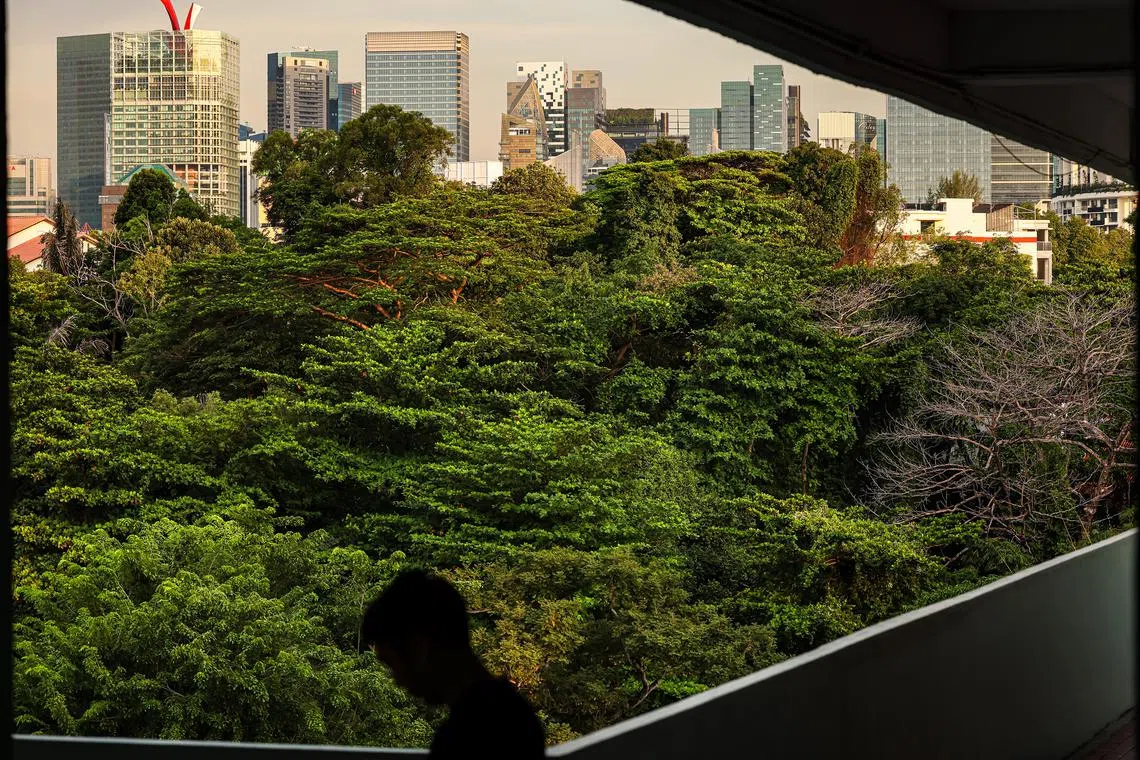 Generic photo for stories regarding Green Buildings and Sustainable Buildings. Part of Singapore Green Plan 2030 to change the way people live, work, study and play