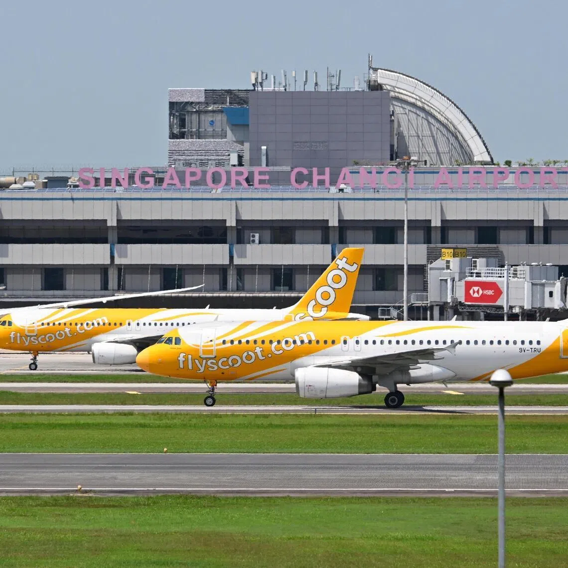 Scoot flights TR796 (Singapore to Jeddah) and TR797 (Jeddah to Singapore) had been cancelled since Feb 28.