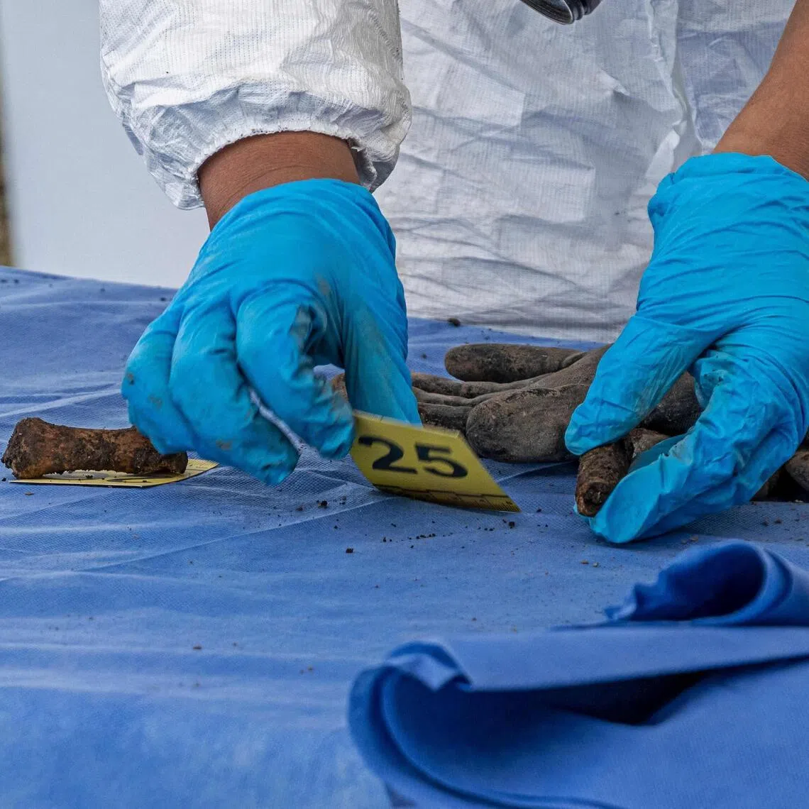 A forensic expert sorts and labels bone fragments on a table during a search for human remains near Mexico City's Lake Chalco, on April 15.