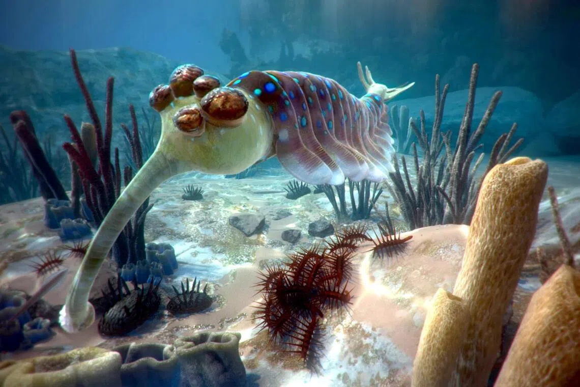Prehistoric creatures, such as the five-eyed opabinia (pictured), are featured in David Attenborough’s First Life.