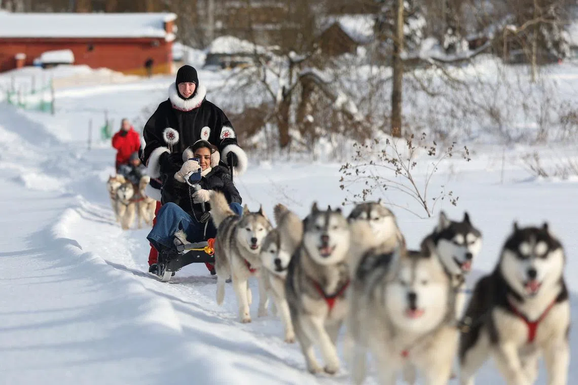 Fatma Albalushi, a tourist from Oman, rides in a sled pulled by huskies at Husky Land Park in the Moscow region, Russia February 10, 2026. REUTERS/Ramil Sitdikov