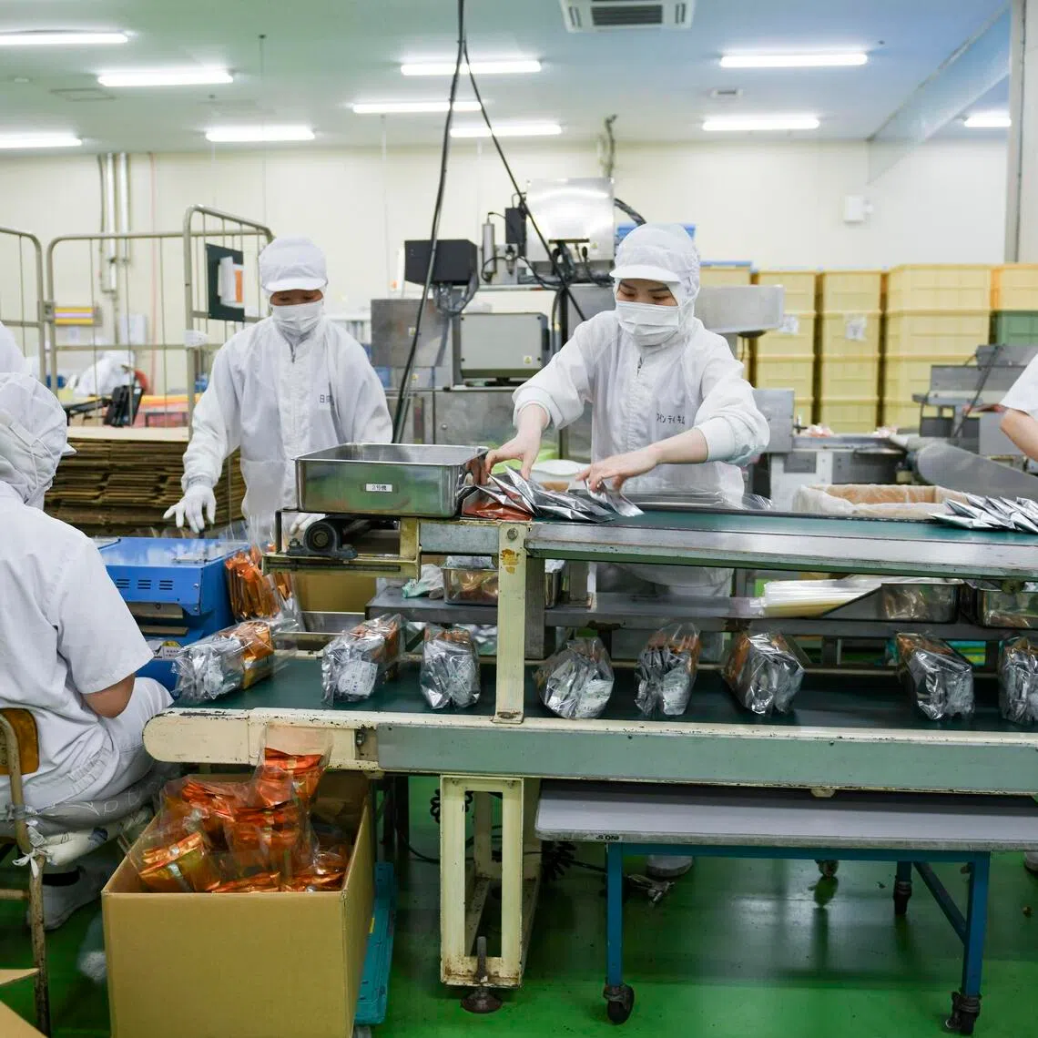 Vietnamese workers at a factory in Tochigi, Japan, Sept. 26, 2024. Workers from other parts of Asia are coming to fill jobs left vacant by Japan’s aging population, but the influx has stirred resentment against immigrants. (