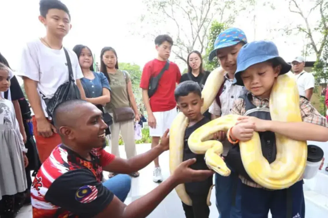 More than 10,000 expected to visit Johor Zoo as it reopens after three ...