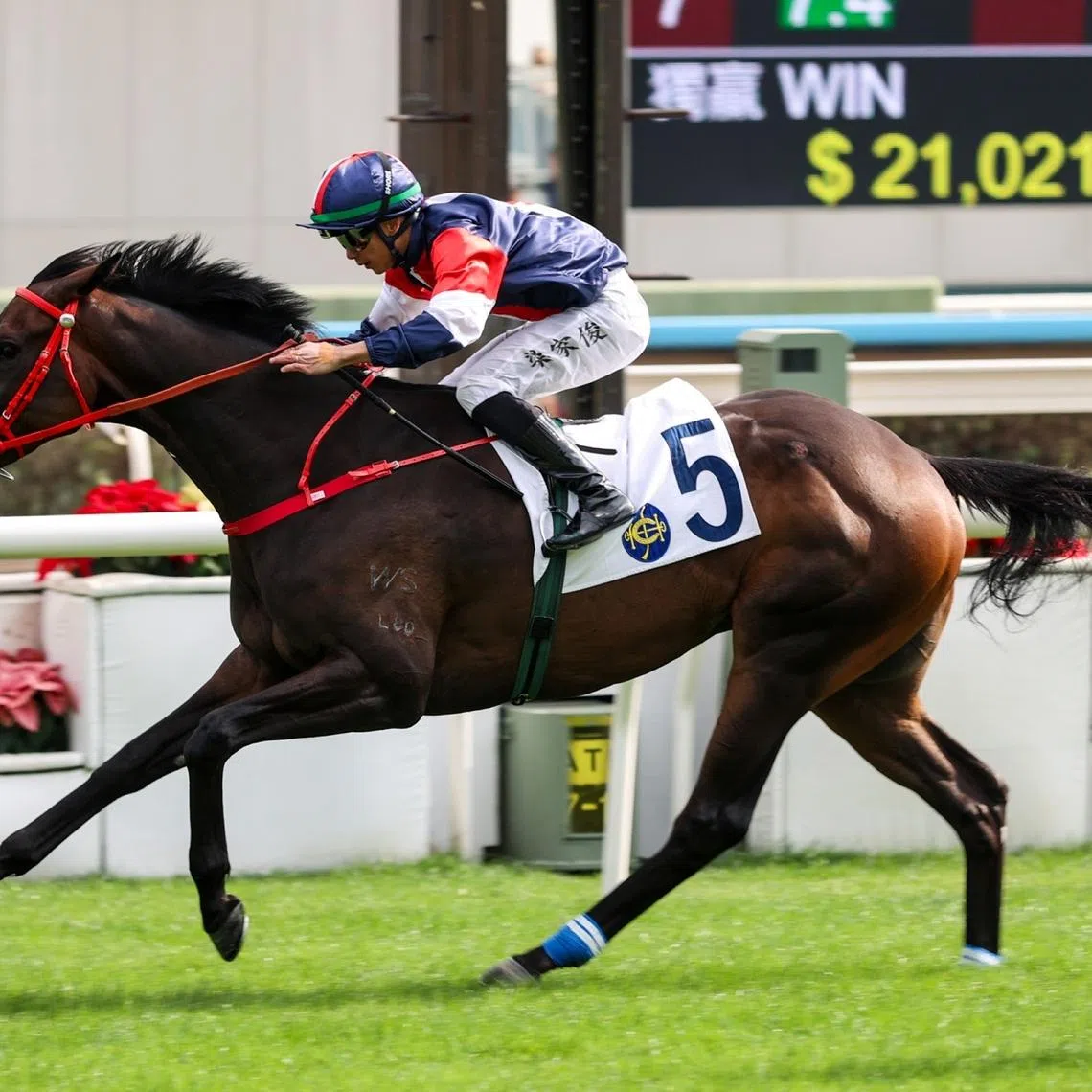 Numbers (Derek Leung) underlining his credentials for the BMW Hong Kong Derby on March 22 with a gutsy win at his second start, in the Class 2 Long Ke Handicap (2,000m) at Sha Tin on Dec 27, 2025. The Frankie Lor-trained three-year-old contests the Group 3 The Centenary Vase (1,800m) at Sha Tin on Feb 8.