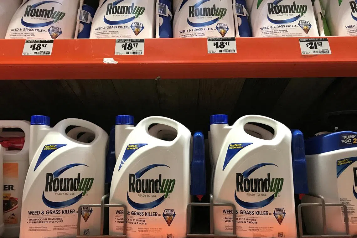 Around 165,000 claims have been made in the US against Bayer for personal injuries allegedly caused by Roundup, which Bayer acquired as part of its US$63 billion purchase of US agro-chemical company Monsanto in 2018. 