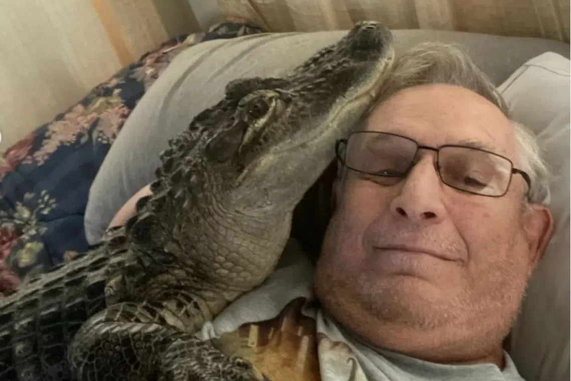 Mr Joie Henney's emotional support pet is an alligator named WallyGator.