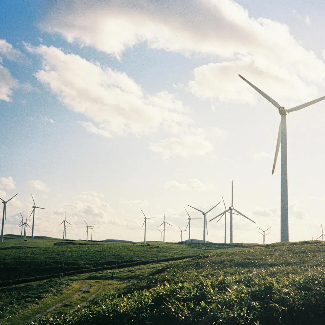 Offshore wind, particularly floating turbine technology, can help Japan decarbonise.