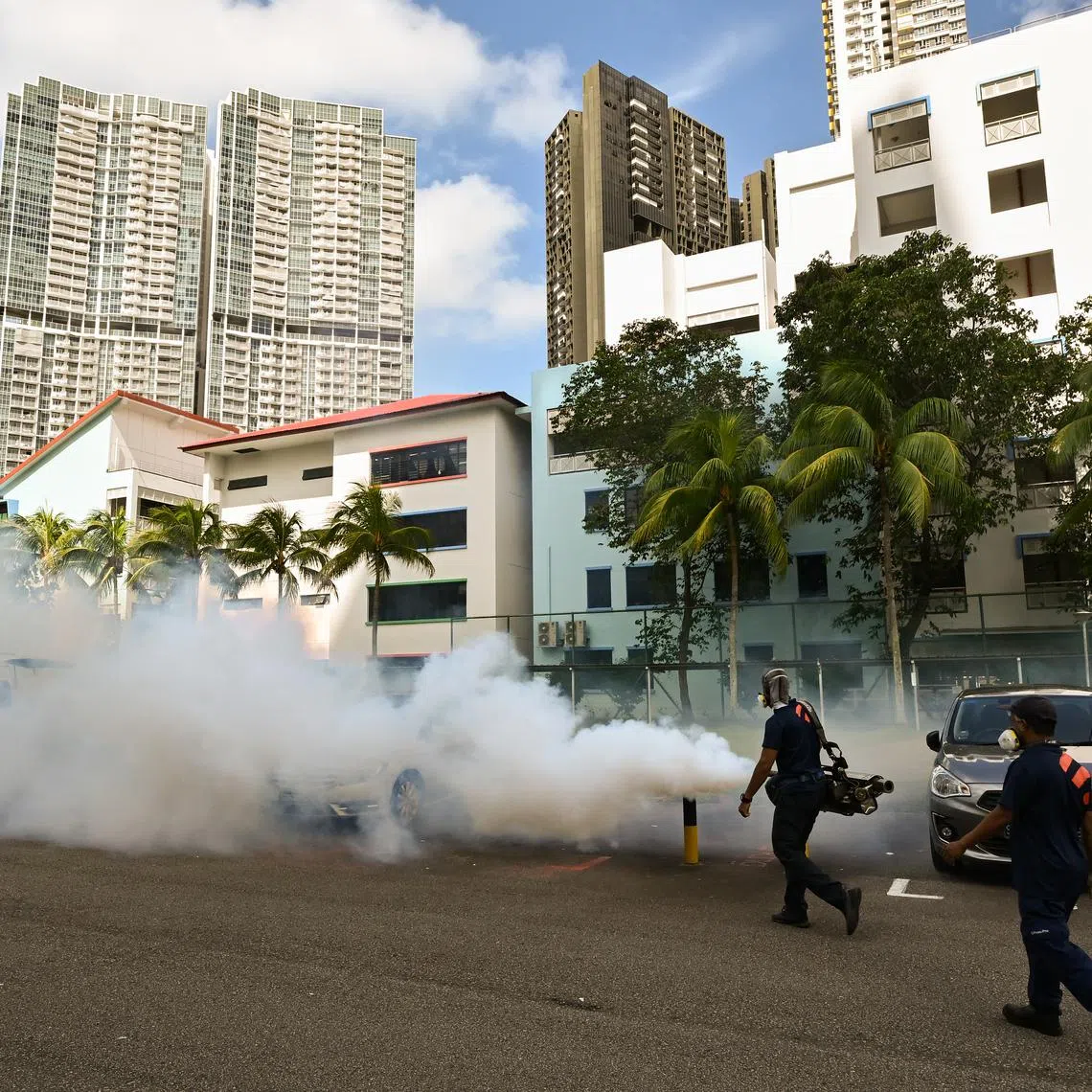 Singapore typically sees fewer dengue cases outside the May to October peak period.