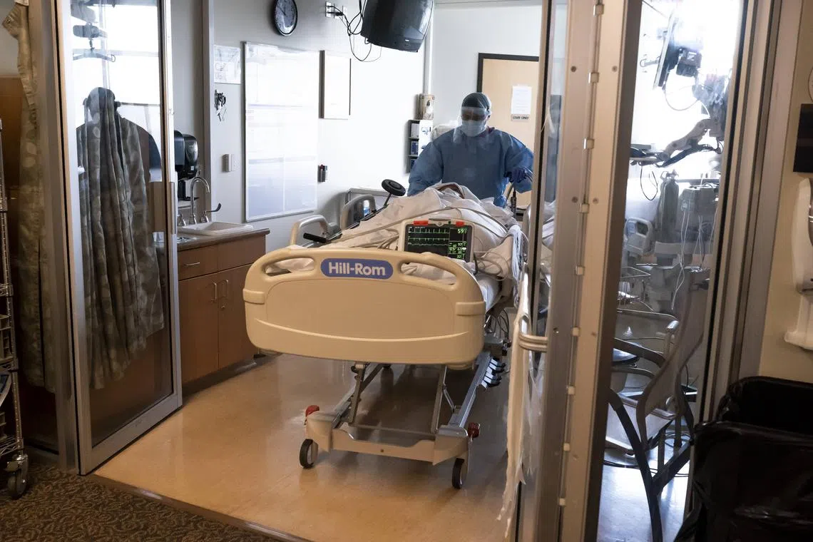 Authorities said plague symptoms in humans begin up to eight days after exposure to an infected animal or flea. 