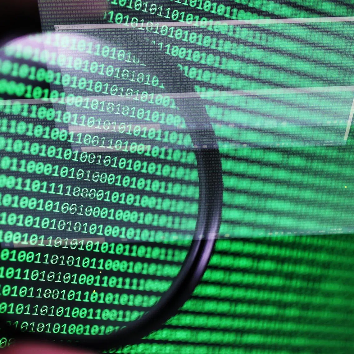 A spokesman for the Ministry of Home Affairs said the Government does not generally provide details of how security agencies carry out their work.