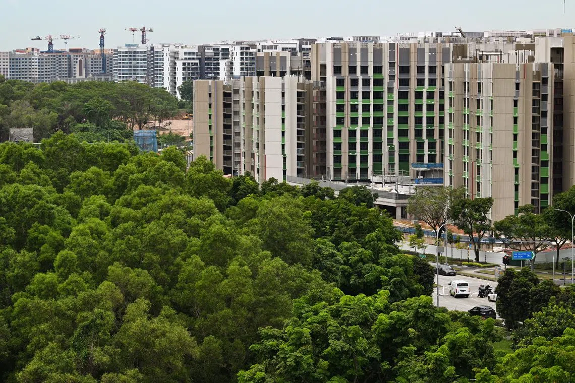Anyone caught using a sham scheme to avoid paying ABSD for second property will have to pay an extra 50 per cent surcharge as penalty. 