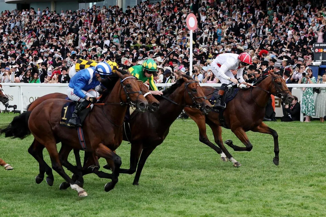 Horse Racing - Royal Ascot 2026 - Ascot Racecourse, Ascot, Britain - June 20, 2026
Almeraq ridden by Tom Marquand wins the 15:40 Queen Elizabeth II Jubilee Stakes Action Images via Reuters/Andrew Boyers