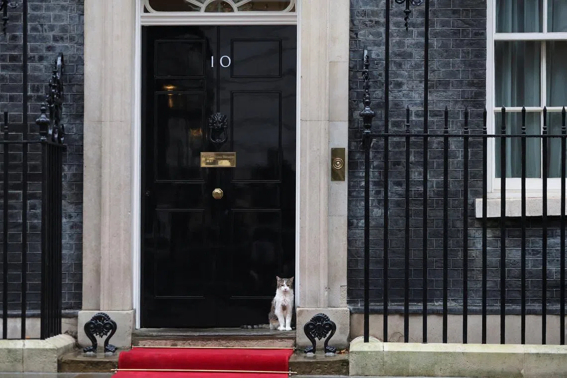 FILE PHOTO: 10 Downing Street is seen in this file photo in London, Britain, January 13, 2026. REUTERS/Hiba Kola/File Photo