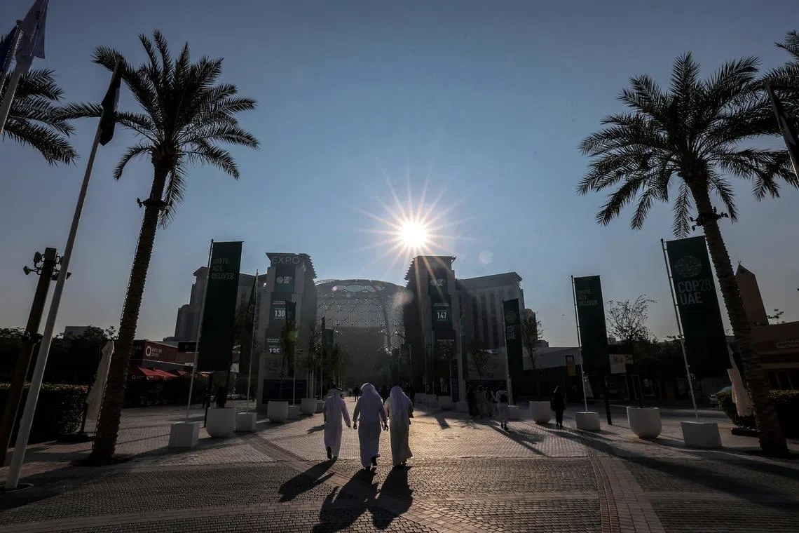 Countries are expected to contribute to the global goal of increasing coverage of protected areas – up to 30 per cent by 2030. 