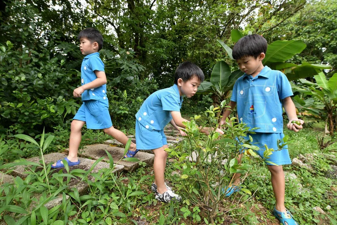 Children during their daily outdoor time at Children's Cove Pre-School.