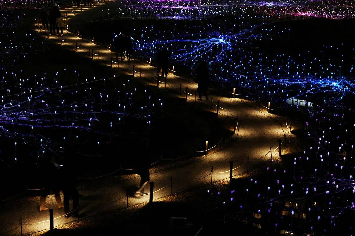 British-Australian artist Bruce Munro's public art installation, Field of Light, made of more than 17,000 solar-powered glowing colourful lights, sits lit at the Freedom Plaza near United Nations headquarters in New York City, US, Dec 13, 2023. 