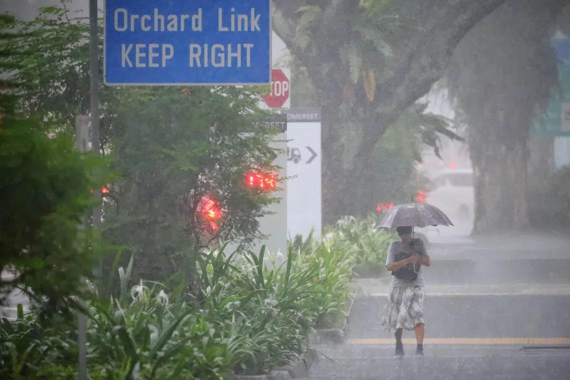 Total rainfall for the first half of January is expected to be above average for most parts of the island.