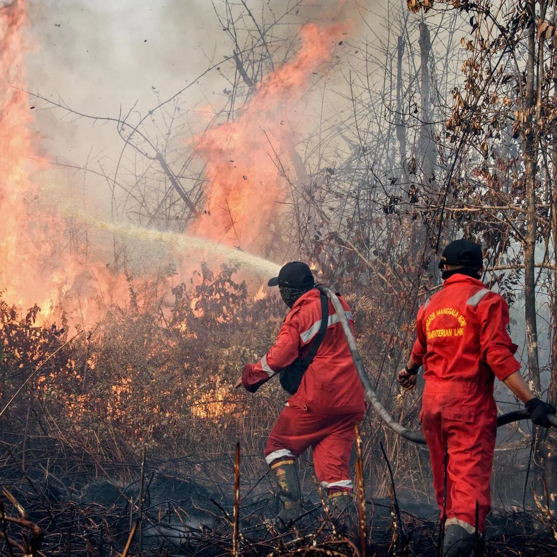 Firefighters work to extinguish a wildfire burning on peatland in Rimba Panjang, Riau province on July 20, 2025. (Photo by Wahyudi / AFP)