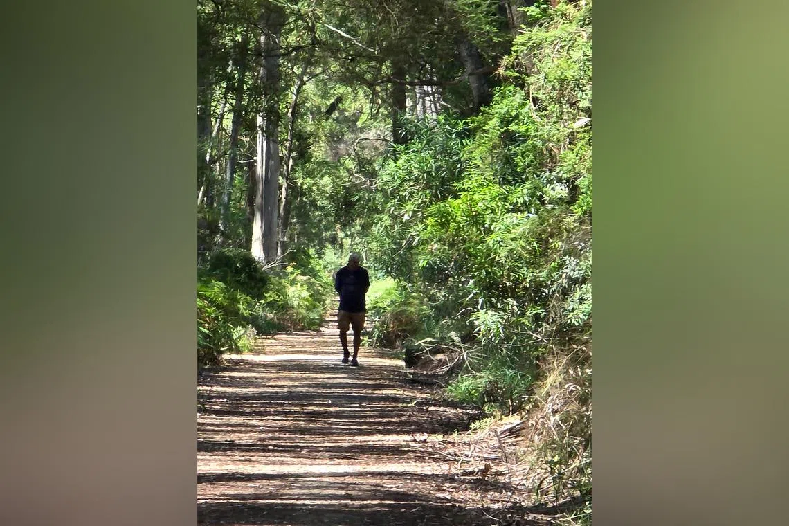 The writer does not click many photographs but here he is, captired in one himself, in a forest in Australia.