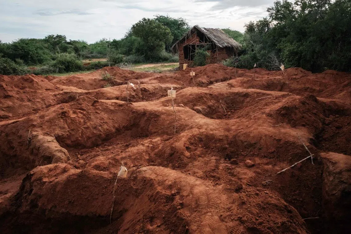 TOPSHOT - Digged holes are seen after exhuming bodies at the mass-grave site in Shakahola, outside the coastal town of Malindi, on April 25, 2023. - Kenyan investigators unearthed another 16 bodies on Tuesday in a forest where a cult was believed to be practising mass starvation, bringing the number of victims so far to 89 including children. There are fears more corpses could be found in Shakahola forest where cult leader Paul Mackenzie Nthenge had allegedly been telling his followers that starvation was the only path to God. (Photo by Yasuyoshi CHIBA / AFP)