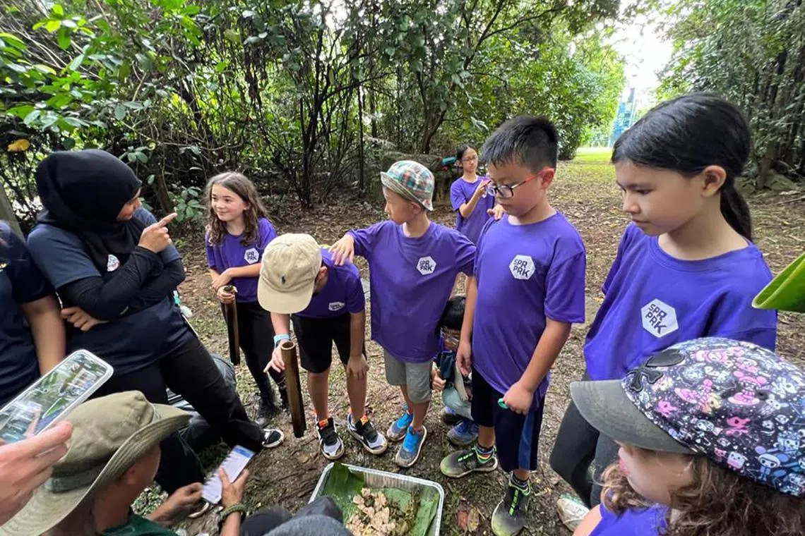 Kids get to experience outdoor cooking, high-element obstacle courses and skating, among other activities, over three days.