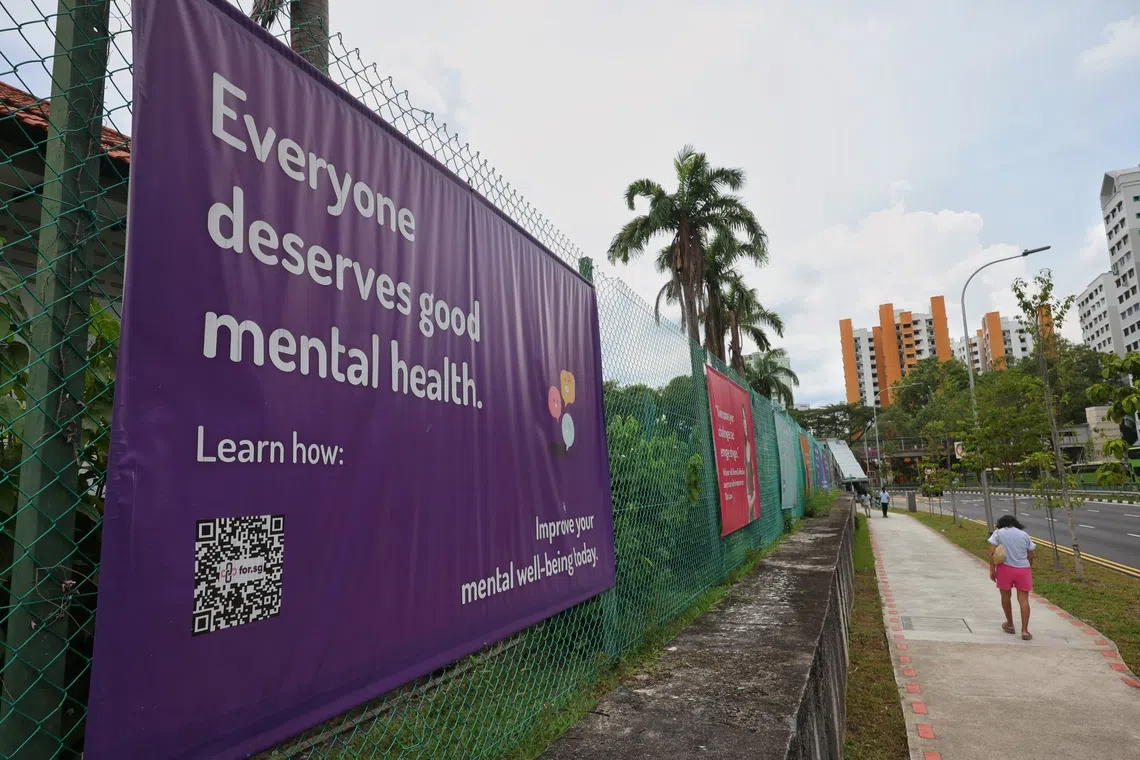 Workplace pressures and family problems were the main stressors among women who had previously experienced mental health concerns.