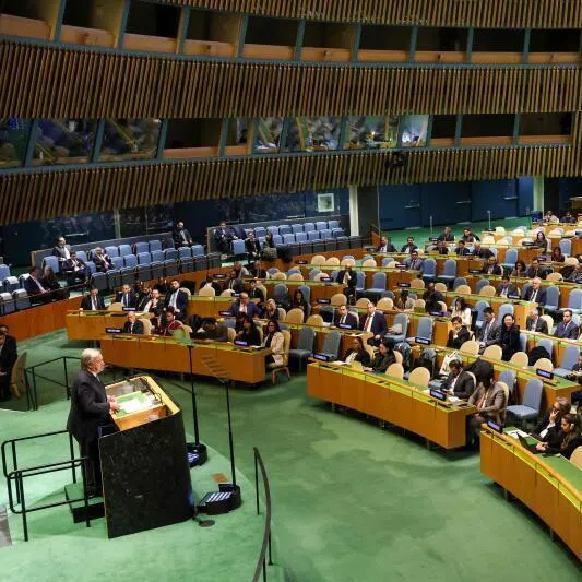 The world body’s financial situation is “undoubtedly dire”, in the words of former UN official Eugene Chen.