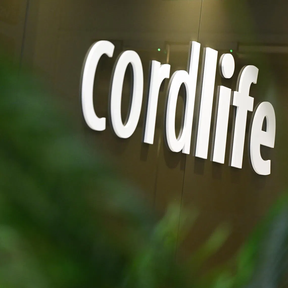 The investor disquiet revolves around some members of the Cordlife board.