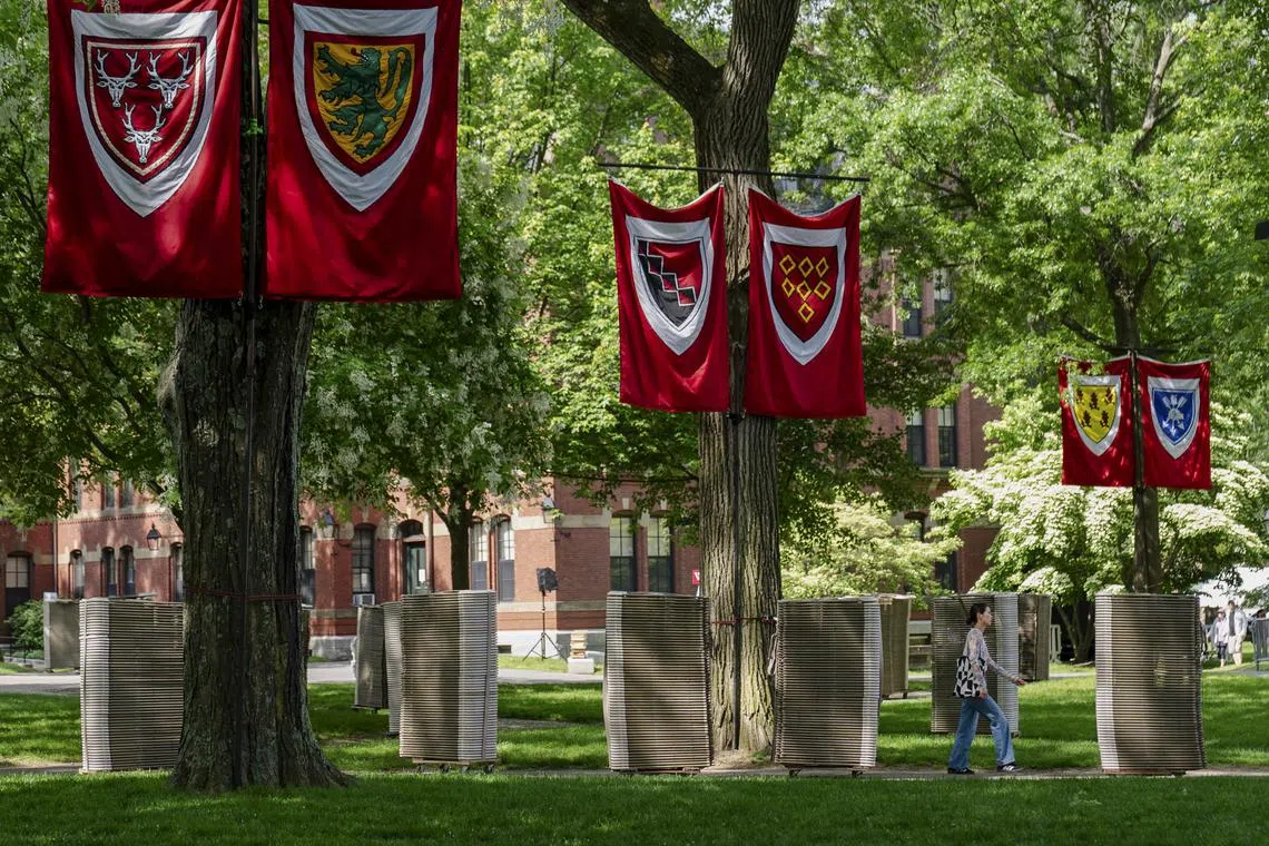 US President Donald Trump said this week that the US would allow 600,000 Chinese students into the country.