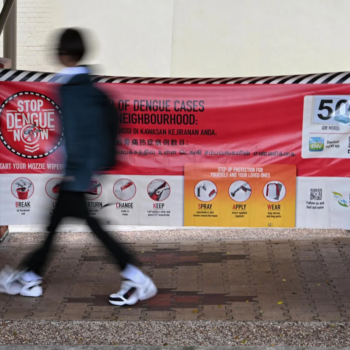 The total number of dengue cases reported in 2023 stood at 3,595. 