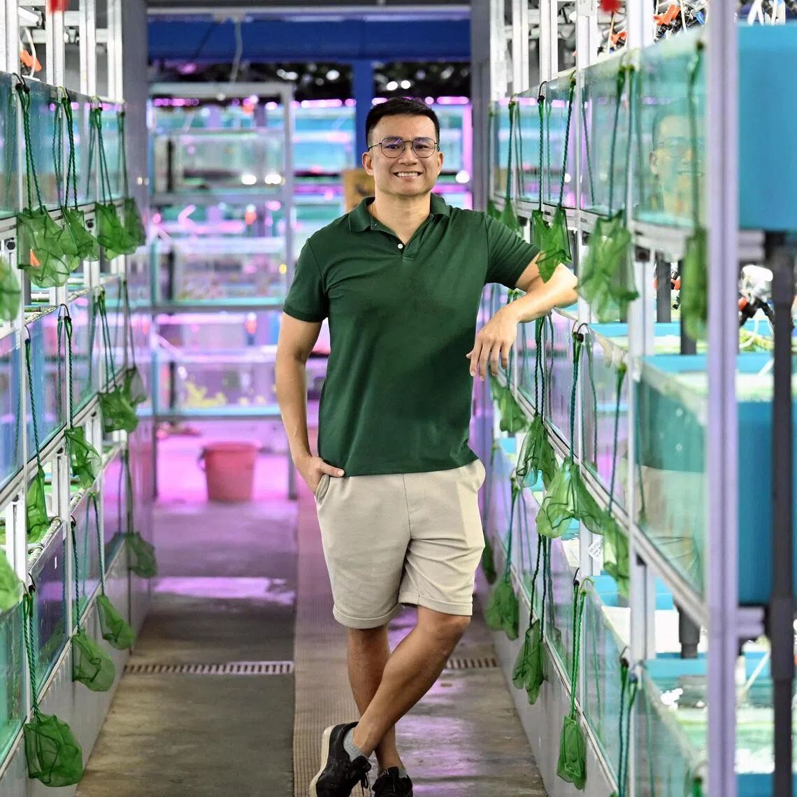 Life is going swimmingly for Desmond Lim, who achieved his childhood dream of working with aquatic animals.