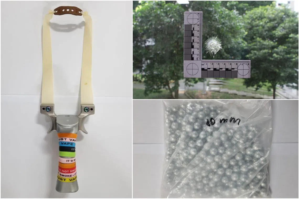 Using a catapult, the man allegedly shot metal and clay pellets at a flock of birds, with one of the pellets damaging a kitchen window.