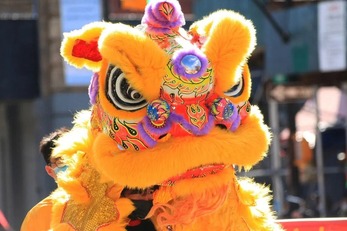 A video released by the Thai police showed the festive lion dancers approaching the suspect before an officer suddenly emerged from the head of the costume and pinned him to the ground.