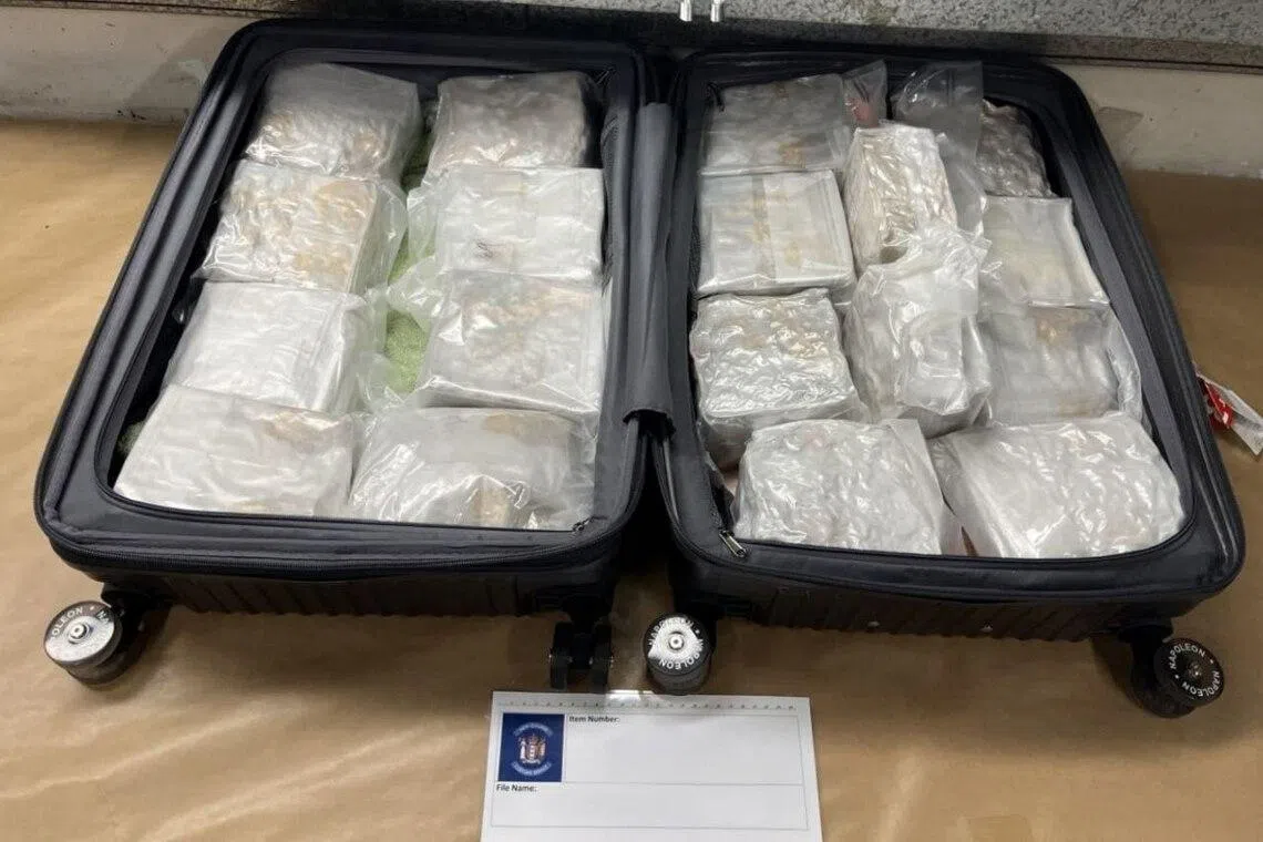 New Zealand national travelling from Singapore caught in Auckland airport with 18kg of meth