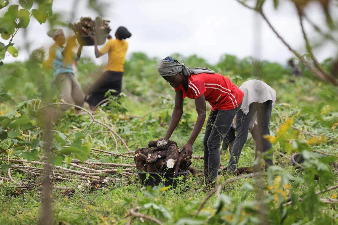 Low-income countries in Africa and the Arab region are unlikely to recover to pre-pandemic levels of unemployment this year.