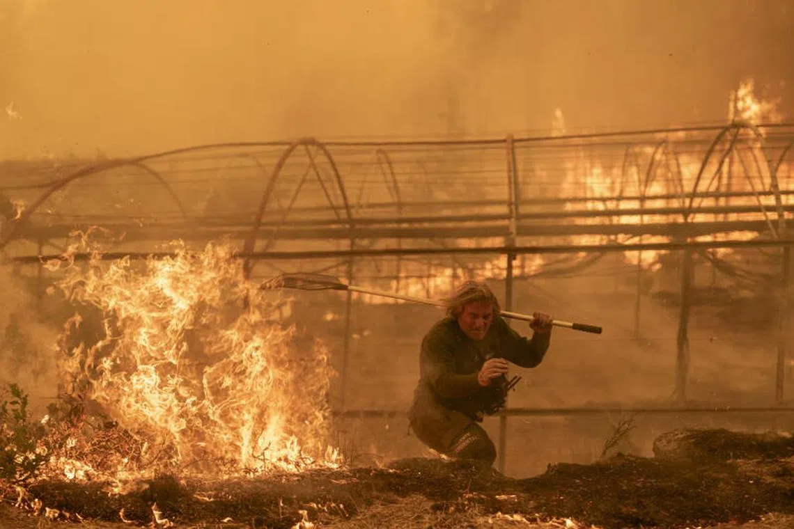 A forest guard works to extinguish a forest fire in Carballeda de Avia, Ourense, Galicia, north-western Spain, on Aug 17.