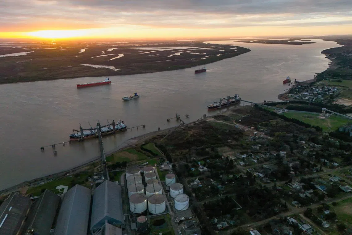 FILE PHOTO: A drone view shows ships used to carry grains for export on the Parana River, in Rosario, Argentina August 9, 2024. REUTERS/Matias Baglietto/File Photo