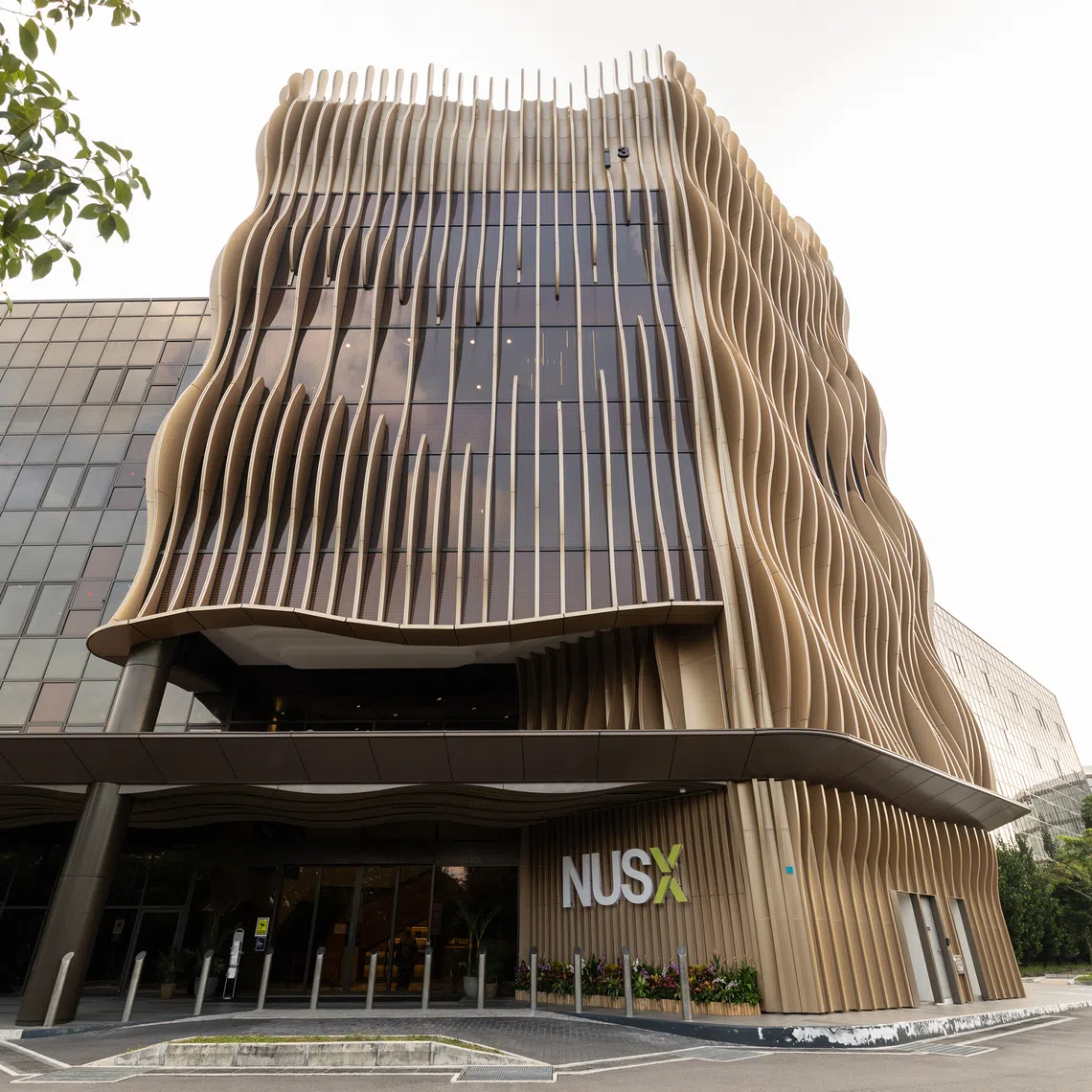 NUS Enterprise says its platform can analyse patents, assess licensing potential against market evidence, and flag potential licensees based on fit.
