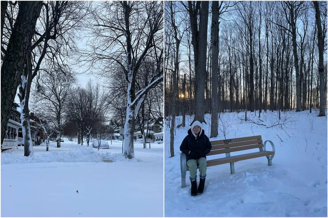 Leong Yi Yin's flat in Buffalo, New York had been without electricity - and therefore, without heating - for 30 hours.