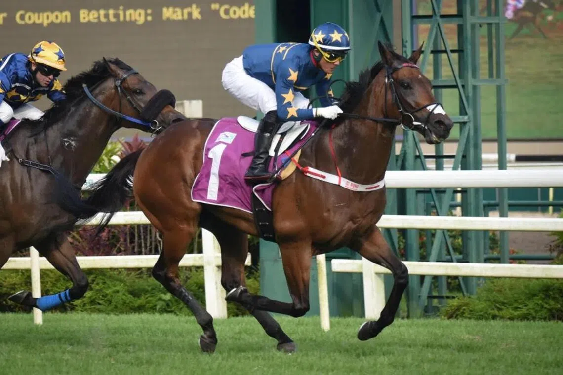 Lim's Kosciuszko has not visited the winner's enclosure in Australia since his relocation, contrary to his heyday in Singapore where he racked up 22 wins in an illustrious racing career spanning between 2021 and and 2024.