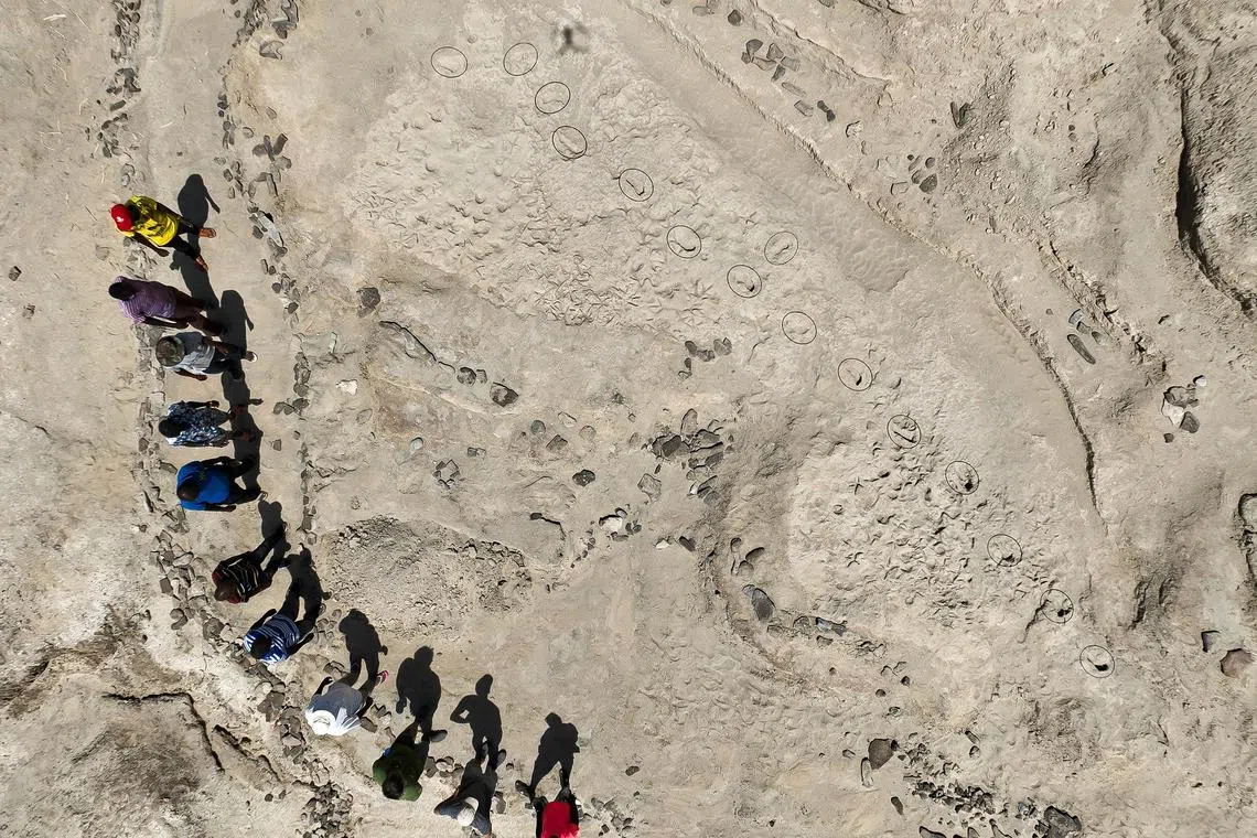 An aerial photo of the excavated trackway surface in northern Kenya, with members of the research team along its perimeter, is seen in this photograph released on November 28, 2024. The annotations denote the approximate locations of the footprints, there is one very long trackway (with 12 footprints), and then three isolated footprints, oriented in an almost perpendicular direction to the main trackway.  Louise N. Leakey, Turkana Basin Institute and Stony Brook University /Handout via REUTERS