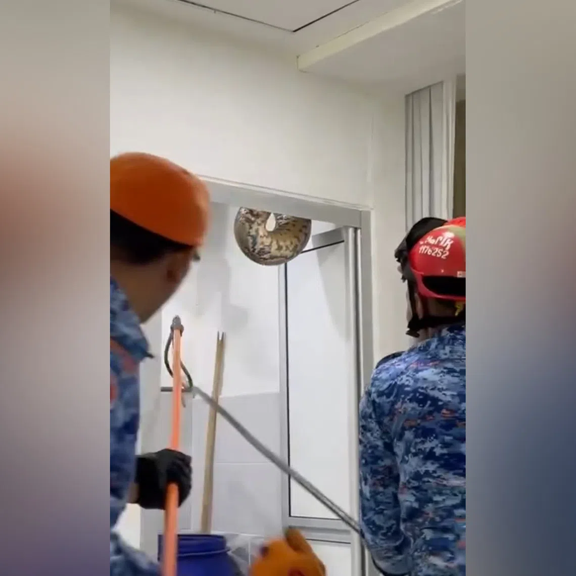 Malaysian Civil Defence Forces helping to remove the python.