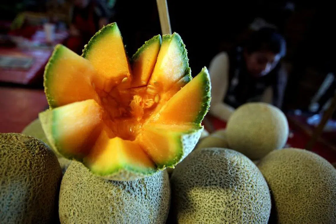 FILE PHOTO: Cantaloupes are pictured at a fruit stall  in Mexico City, Mexico, on  January 11, 2019. Picture taken January 11, 2019. REUTERS/Daniel Becerril/File Photo