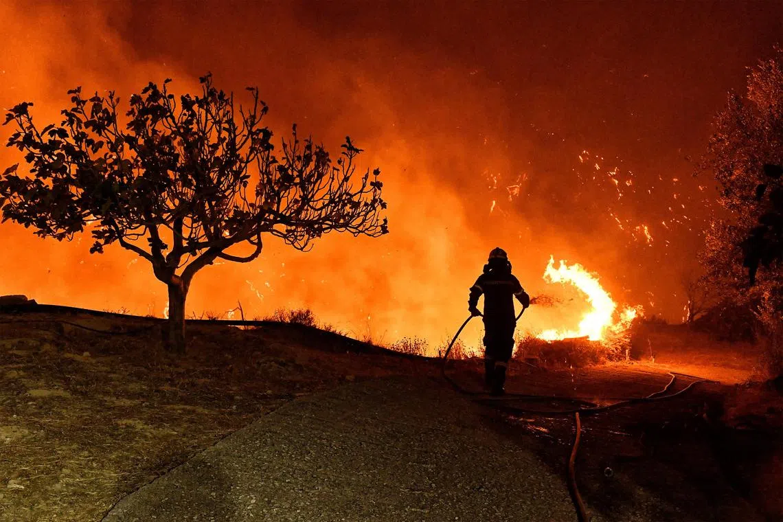 Fighting fast-moving wildfires cost US$18.9 billion (S$24.93 billion) between 2001 and 2020.
