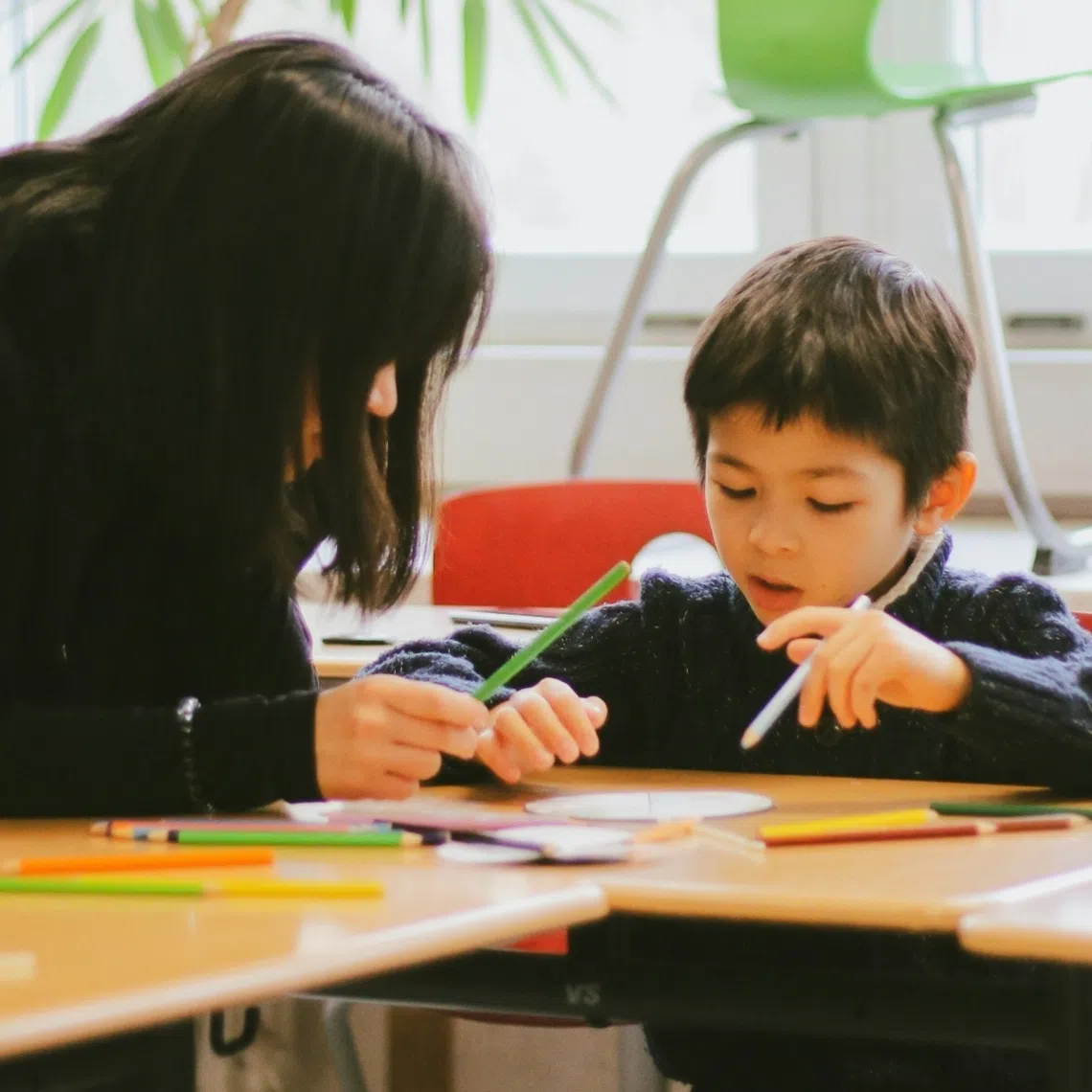 Freelance tutors, volunteers, coaches and private teachers in centres with fewer than 10 students operate outside the strict registration requirements mandated by the Education Act.