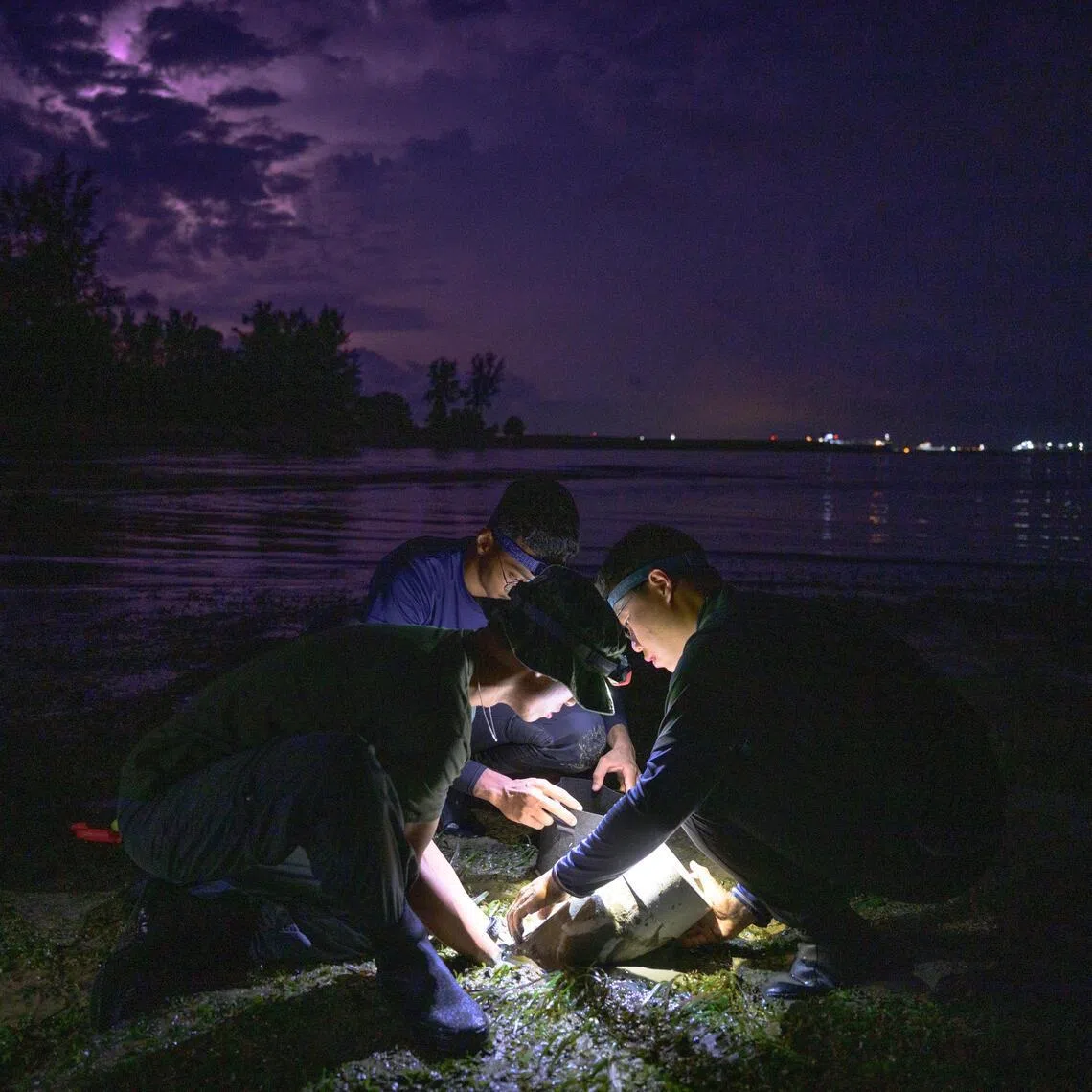 Singapore will establish a new marine science research centre supported by a $60 million fund.