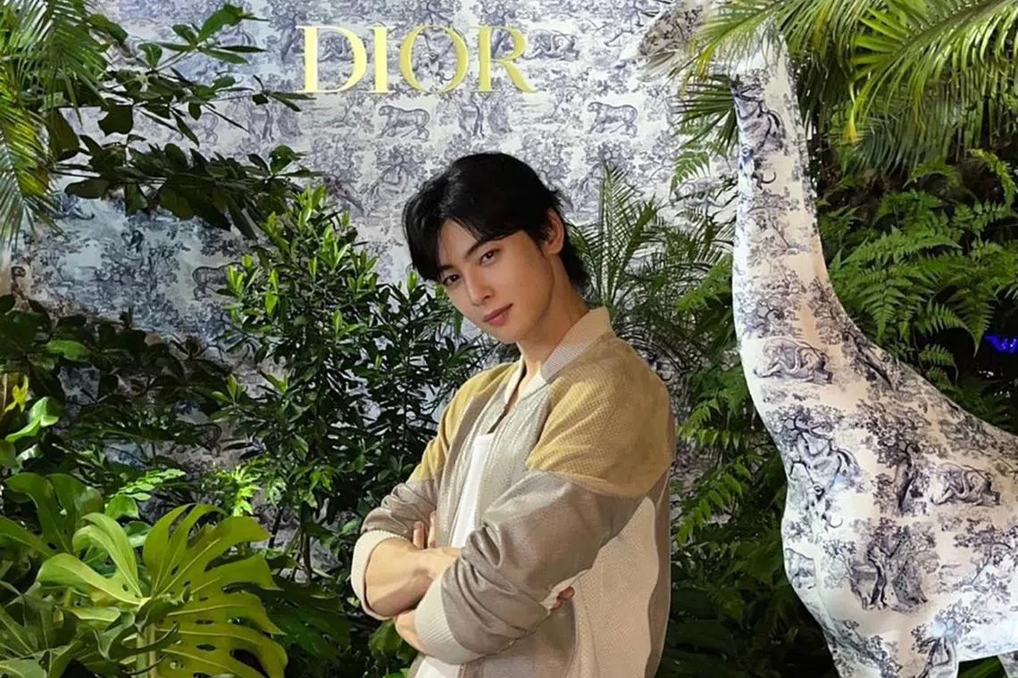 South Korean idol Cha Eun-woo will release his debut solo album in 2024. 
